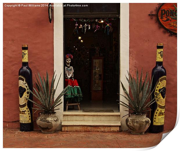 The Tequila Shop Print by Paul Williams