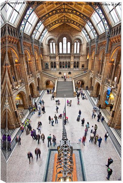Natural History Museum  Canvas Print by Graham Custance
