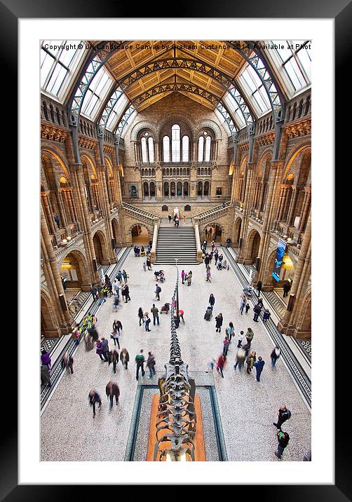 Natural History Museum  Framed Mounted Print by Graham Custance