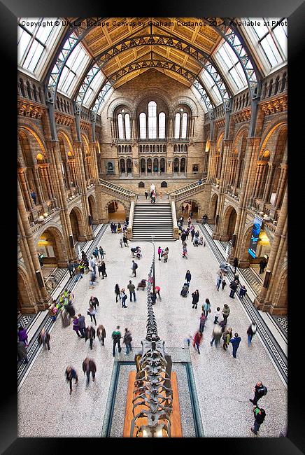 Natural History Museum  Framed Print by Graham Custance