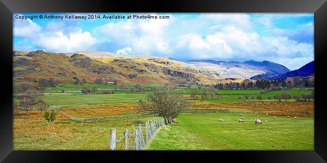  LAKE DISTRICT LANDSCAPE Framed Print by Anthony Kellaway