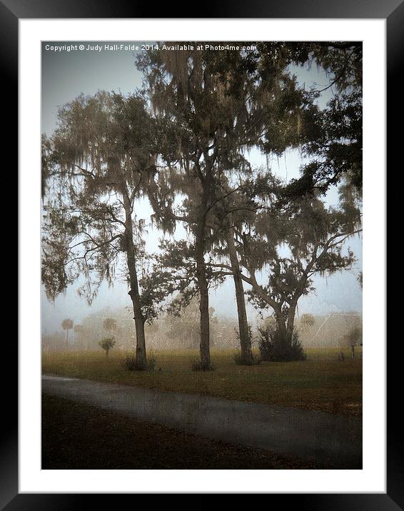  Foggy Morning Framed Mounted Print by Judy Hall-Folde