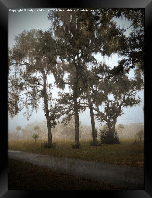  Foggy Morning Framed Print by Judy Hall-Folde