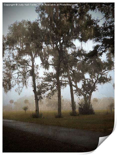 Foggy Morning Print by Judy Hall-Folde