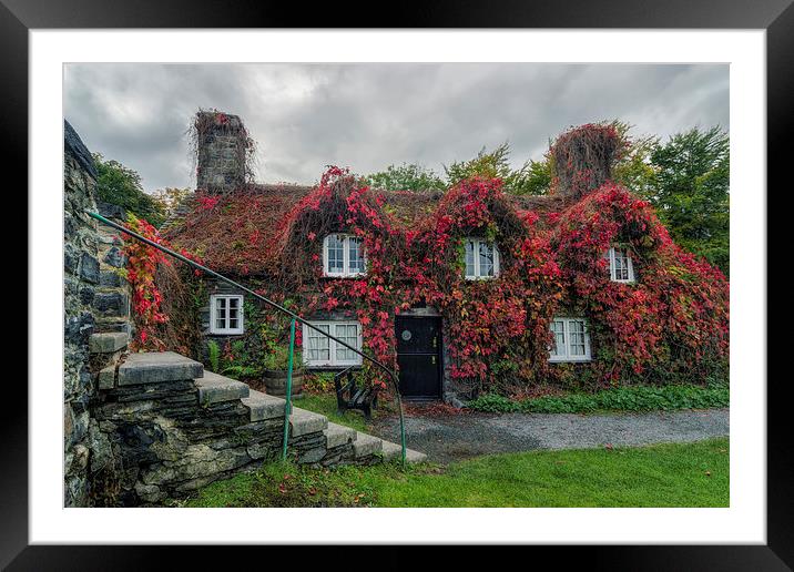 Autumn Cottage  Framed Mounted Print by Ian Mitchell