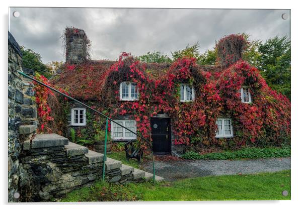 Autumn Cottage  Acrylic by Ian Mitchell