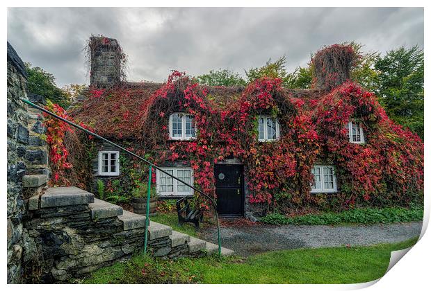 Autumn Cottage  Print by Ian Mitchell