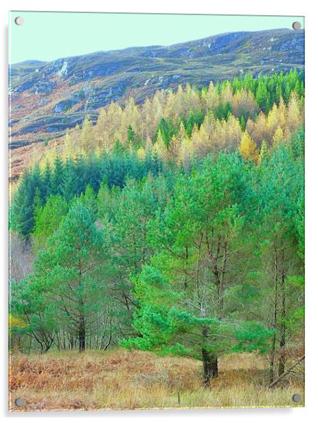  highland landscape     Acrylic by dale rys (LP)