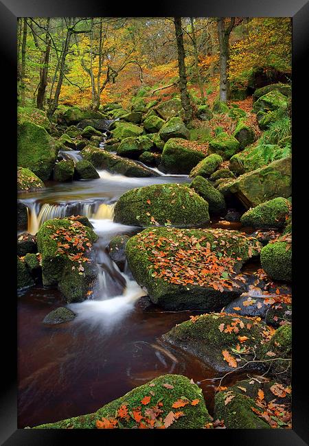 Padley Gorge Autumn Colours  Framed Print by Darren Galpin