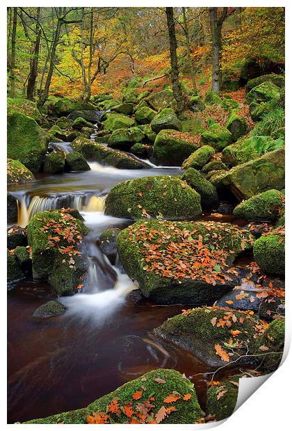Padley Gorge Autumn Colours  Print by Darren Galpin
