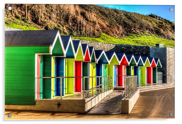 Barry Island Beach Huts 14 Acrylic by Steve Purnell
