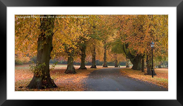  Autumn Colours Framed Mounted Print by Peter Yardley