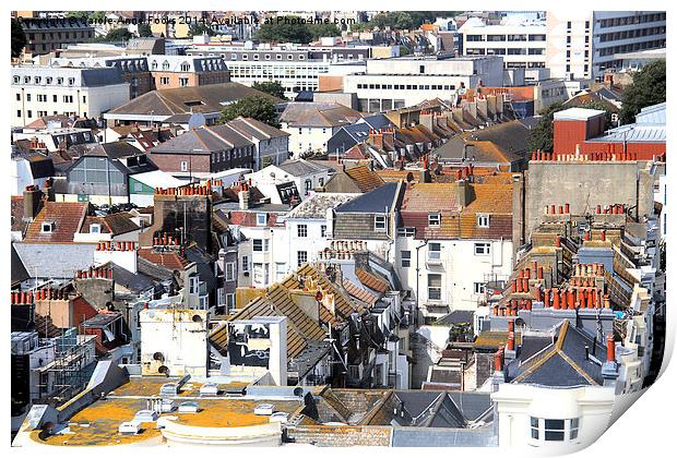  Roofs of Brighton From the Ferris Wheel Print by Carole-Anne Fooks