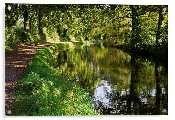  Grand Western Canal Tiverton Acrylic by Pete Hemington