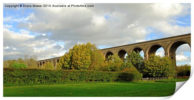 Chappel Viaduct  Print by Diana Mower