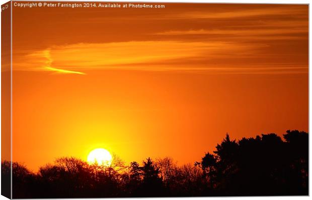  Sun Rise Over Wendover Woods Canvas Print by Peter Farrington
