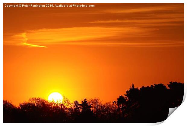  Sun Rise Over Wendover Woods Print by Peter Farrington