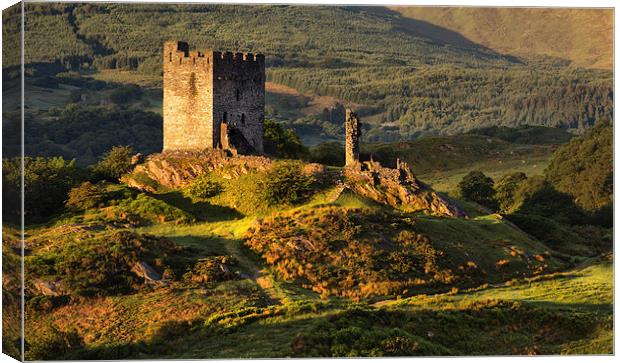  Dolwyddelan castle Canvas Print by Rory Trappe