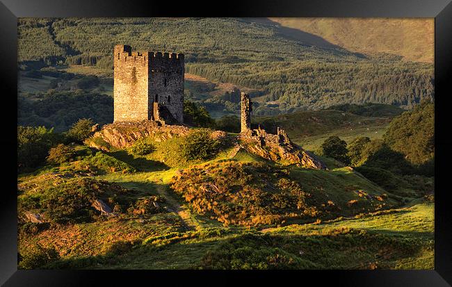  Dolwyddelan castle Framed Print by Rory Trappe