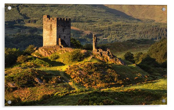  Dolwyddelan castle Acrylic by Rory Trappe