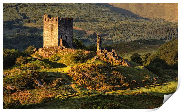  Dolwyddelan castle Print by Rory Trappe