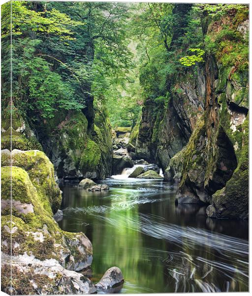  Fairy Glen Canvas Print by Rory Trappe