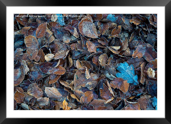  Frosty leaf abstract Framed Mounted Print by Andrew Kearton