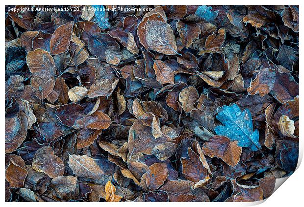  Frosty leaf abstract Print by Andrew Kearton