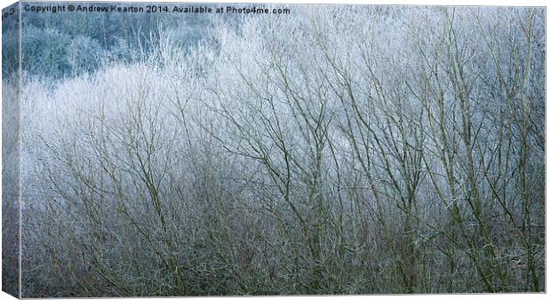  Frosted Willow abstract Canvas Print by Andrew Kearton