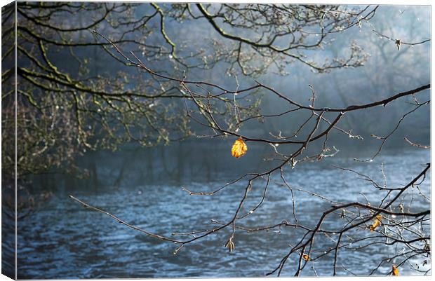 Hanging on Canvas Print by Andrew Kearton