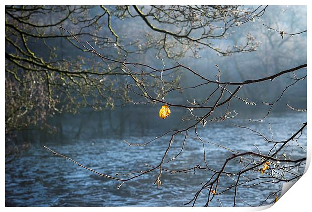  Hanging on Print by Andrew Kearton