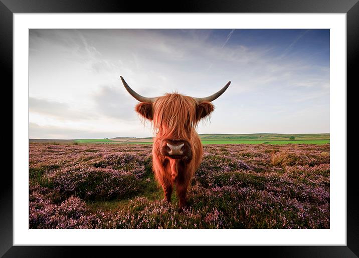   Are You Looking At Me? Framed Mounted Print by James Grant
