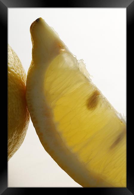 Sliced lemon Framed Print by Josep M Peñalver