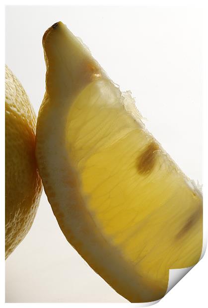 Sliced lemon Print by Josep M Peñalver