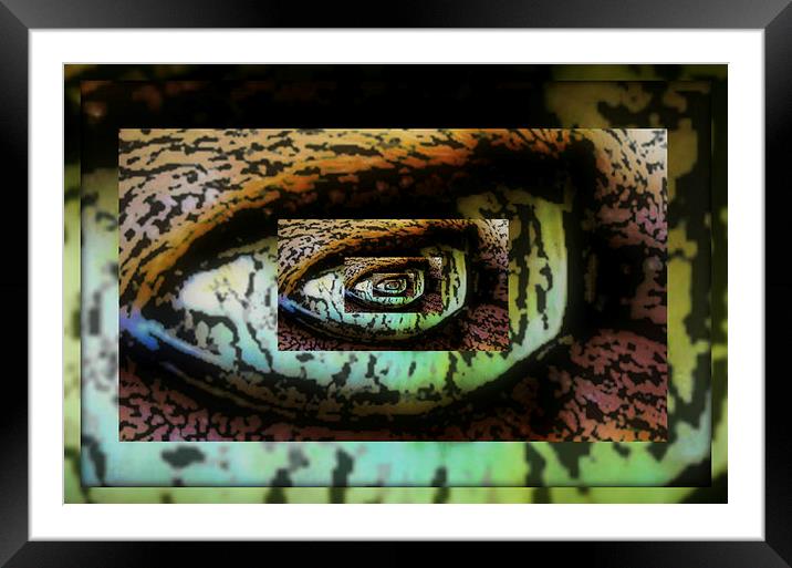 abstracr cats eye  Framed Mounted Print by sue davies