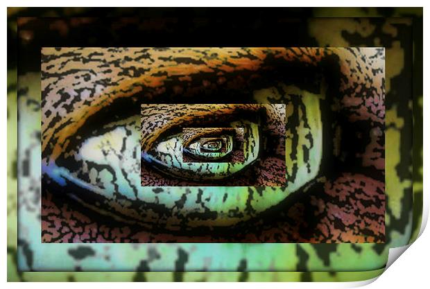abstracr cats eye  Print by sue davies