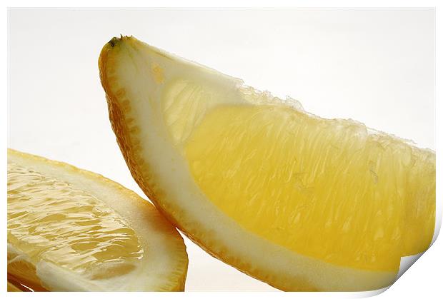 Sliced lemon Print by Josep M Peñalver