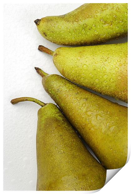 Pears over white Print by Josep M Peñalver