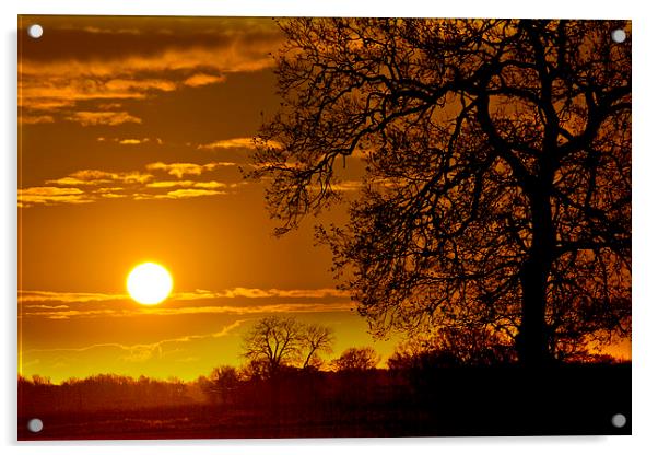  Sunrise Acrylic by Darren Burroughs