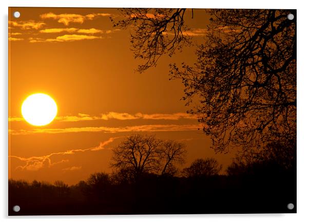 Sunrise Acrylic by Darren Burroughs