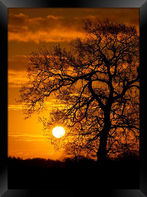 Sunrise Framed Print by Darren Burroughs