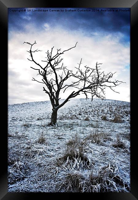 Lone Tree in Winter  Framed Print by Graham Custance