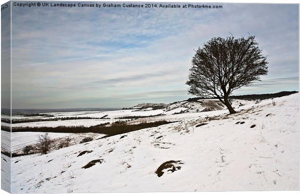 Winter in the Chilterns  Canvas Print by Graham Custance