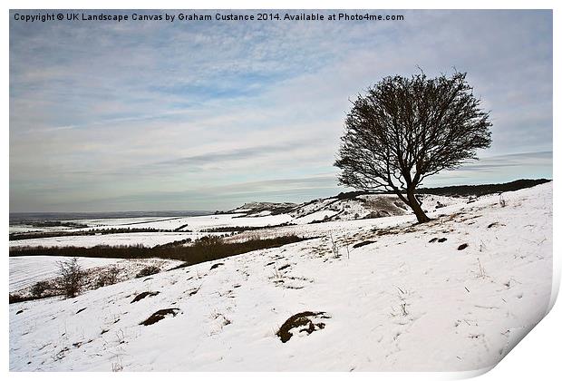 Winter in the Chilterns  Print by Graham Custance