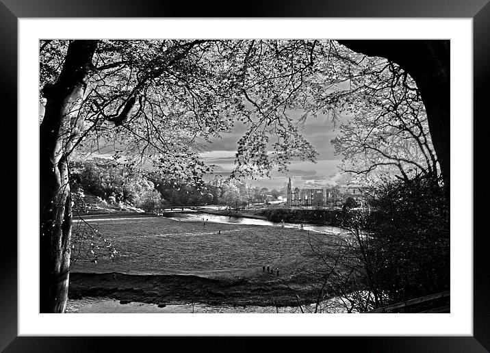  River Wharfe at Bolton Abbey Framed Mounted Print by Peter Elliott 