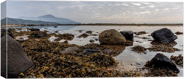 Whiting Bay Beach, Isle of Arran Canvas Print by Alan Whyte