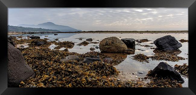 Whiting Bay Beach, Isle of Arran Framed Print by Alan Whyte