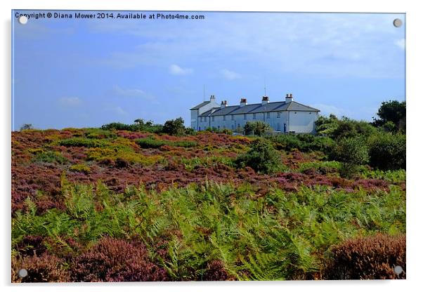  Dunwich Heath Acrylic by Diana Mower