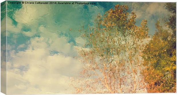 Trees reflections Canvas Print by Chiara Cattaruzzi
