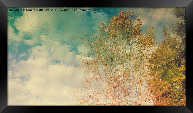  Trees reflections Framed Print by Chiara Cattaruzzi